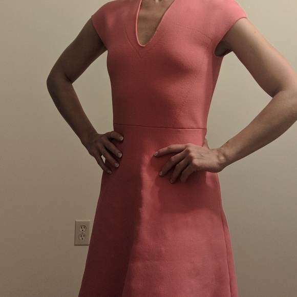 Reiss Dresses & Skirts - REISS pink dress (US 6)